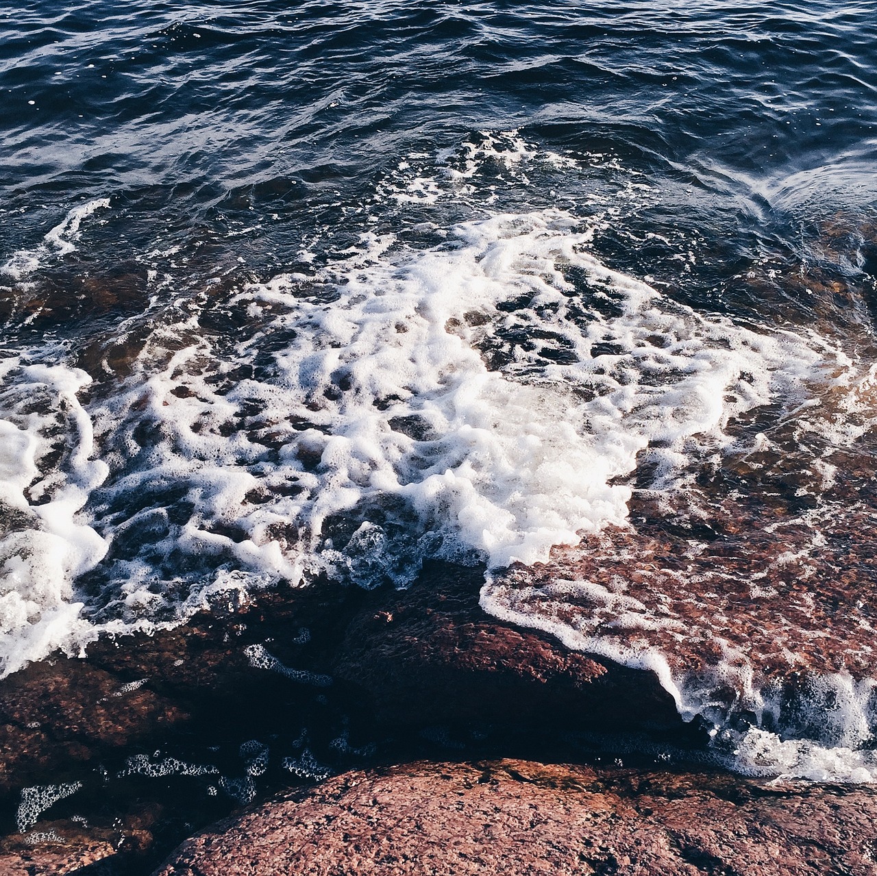 sea rock beach free photo