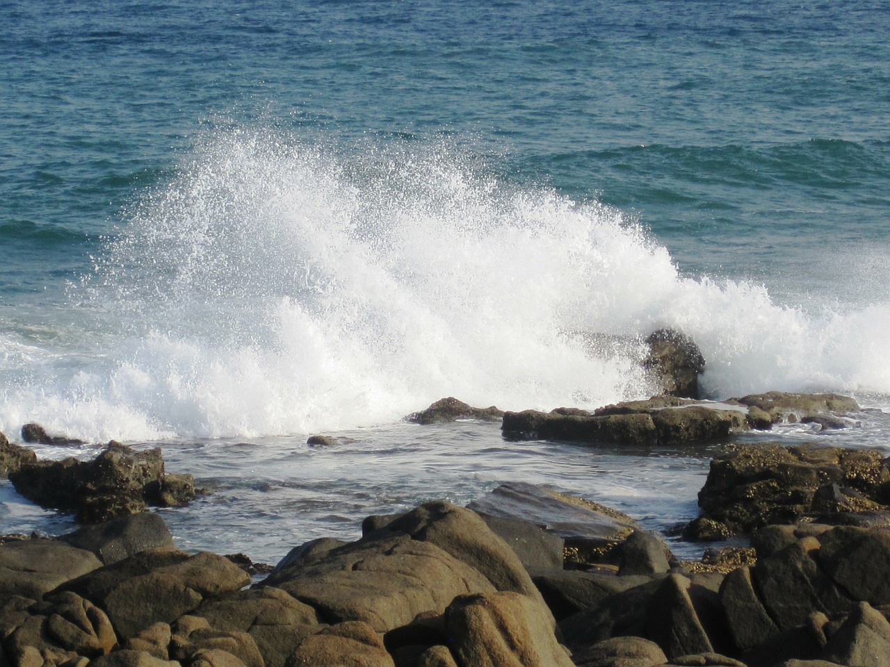 sea water blue free photo