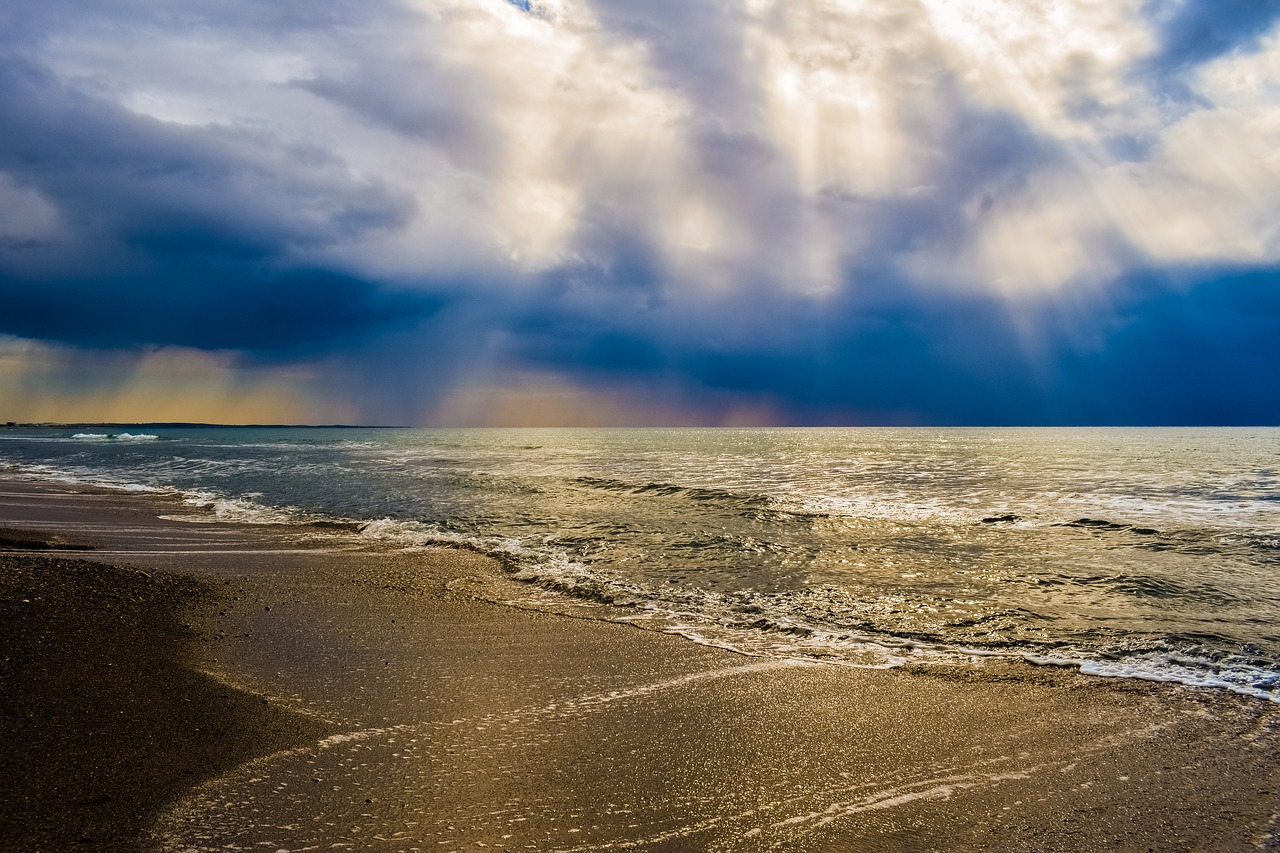 sea sand sunlight free photo