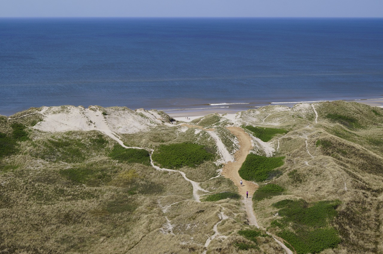 sea beach denmark free photo