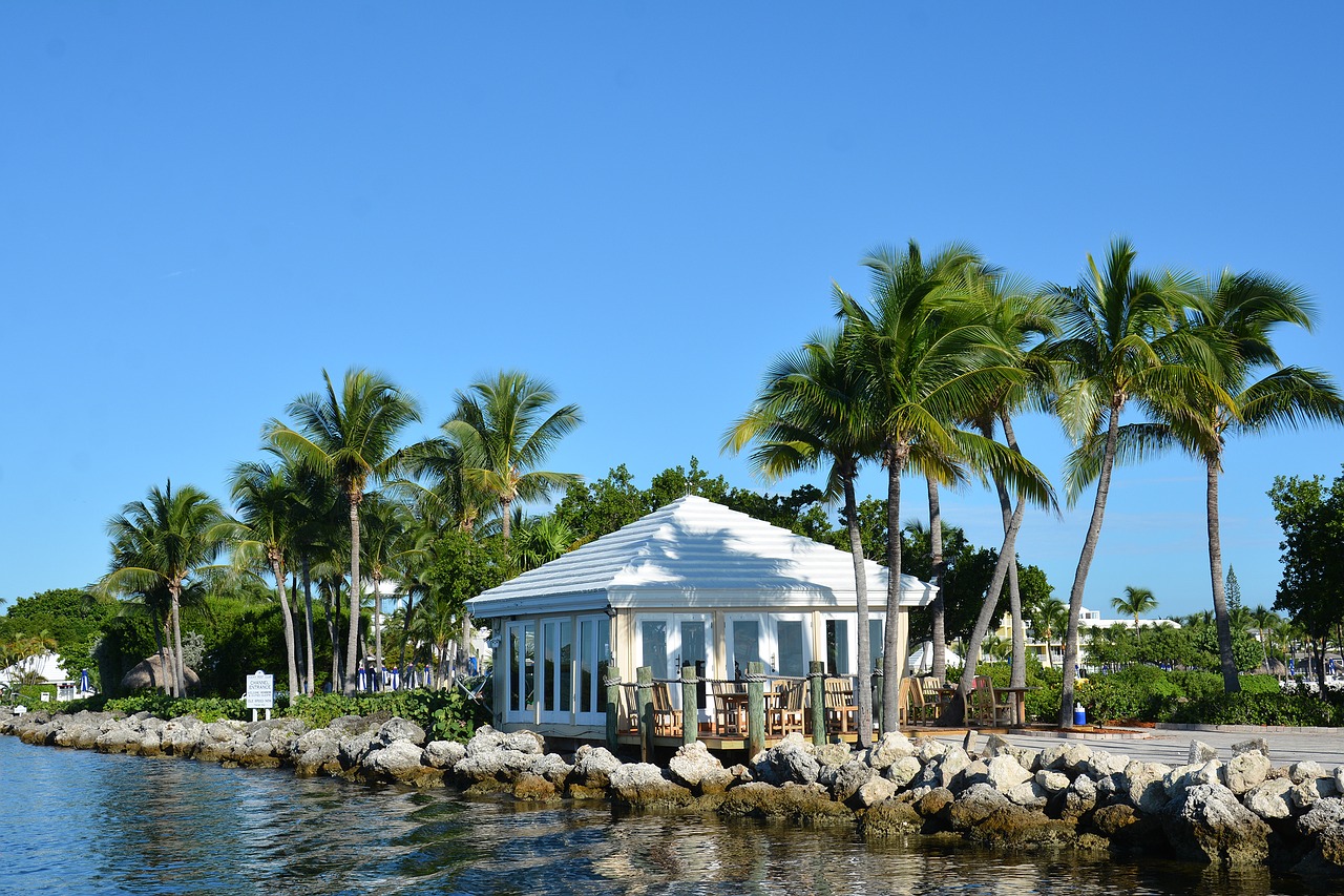 sea wide palm trees free photo