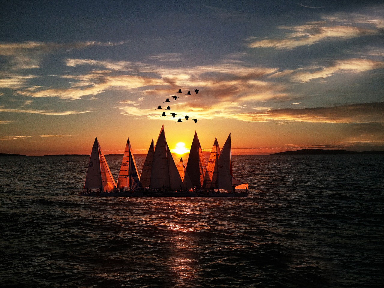 sea boat horizon free photo