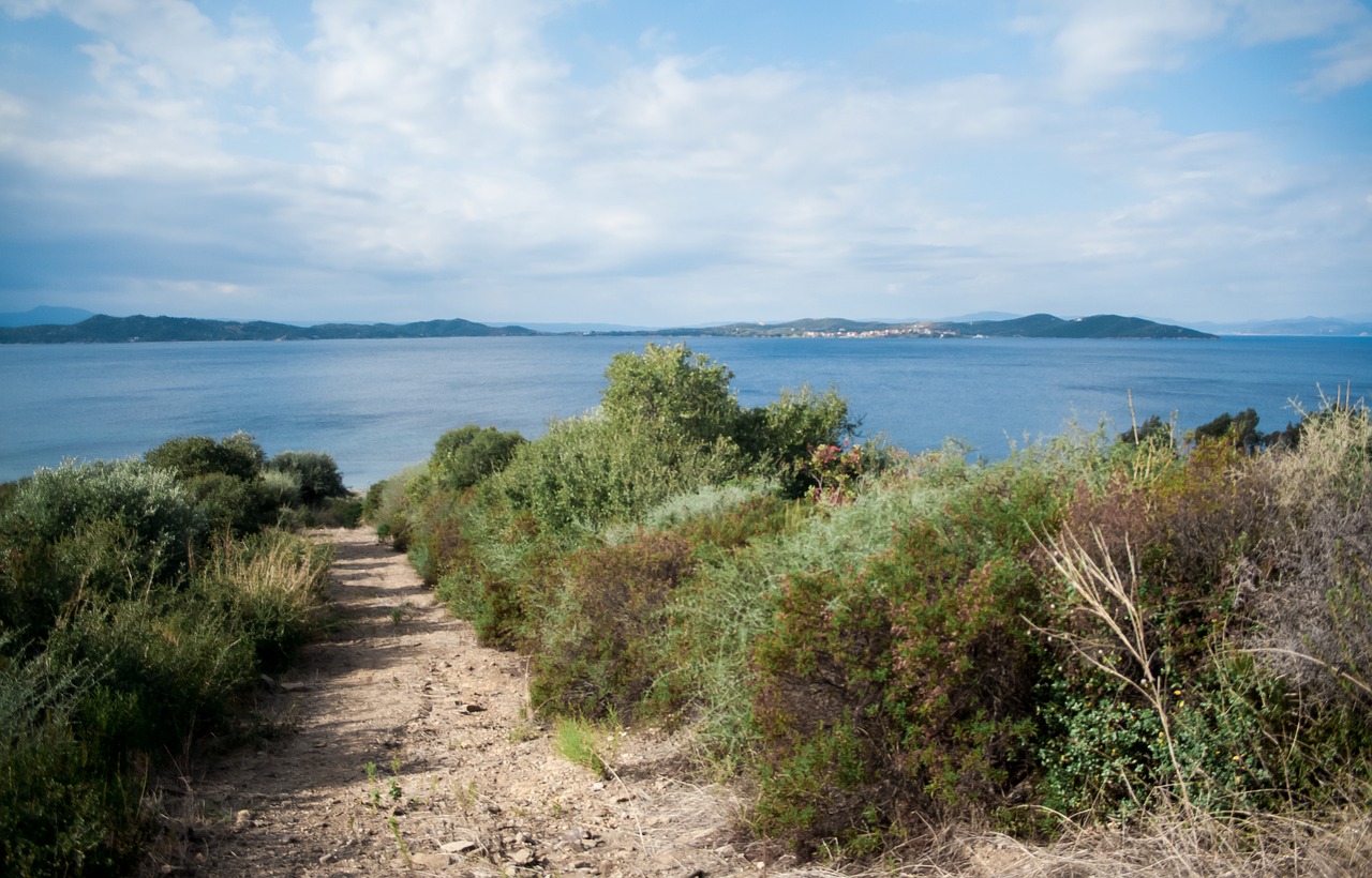 sea beach view free photo