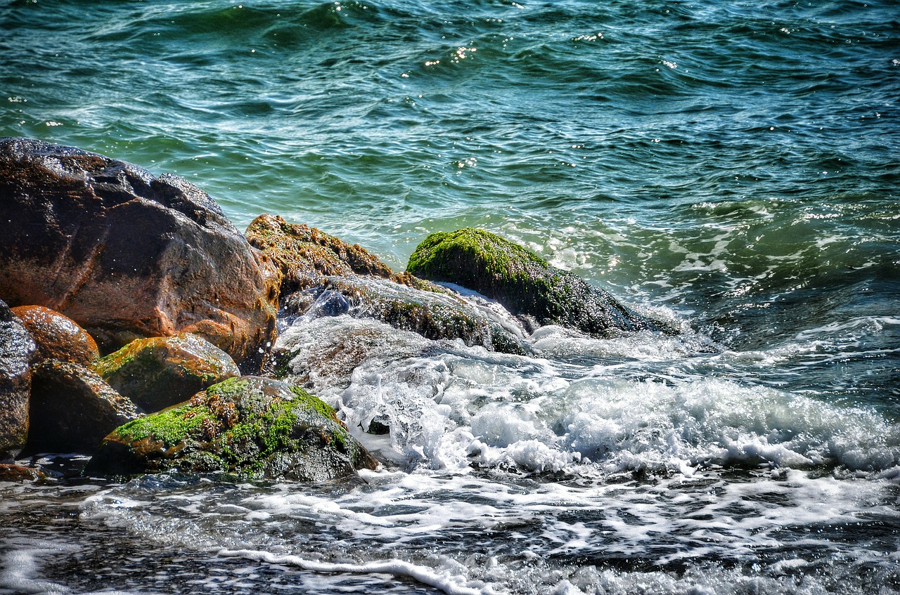 sea water beach free photo