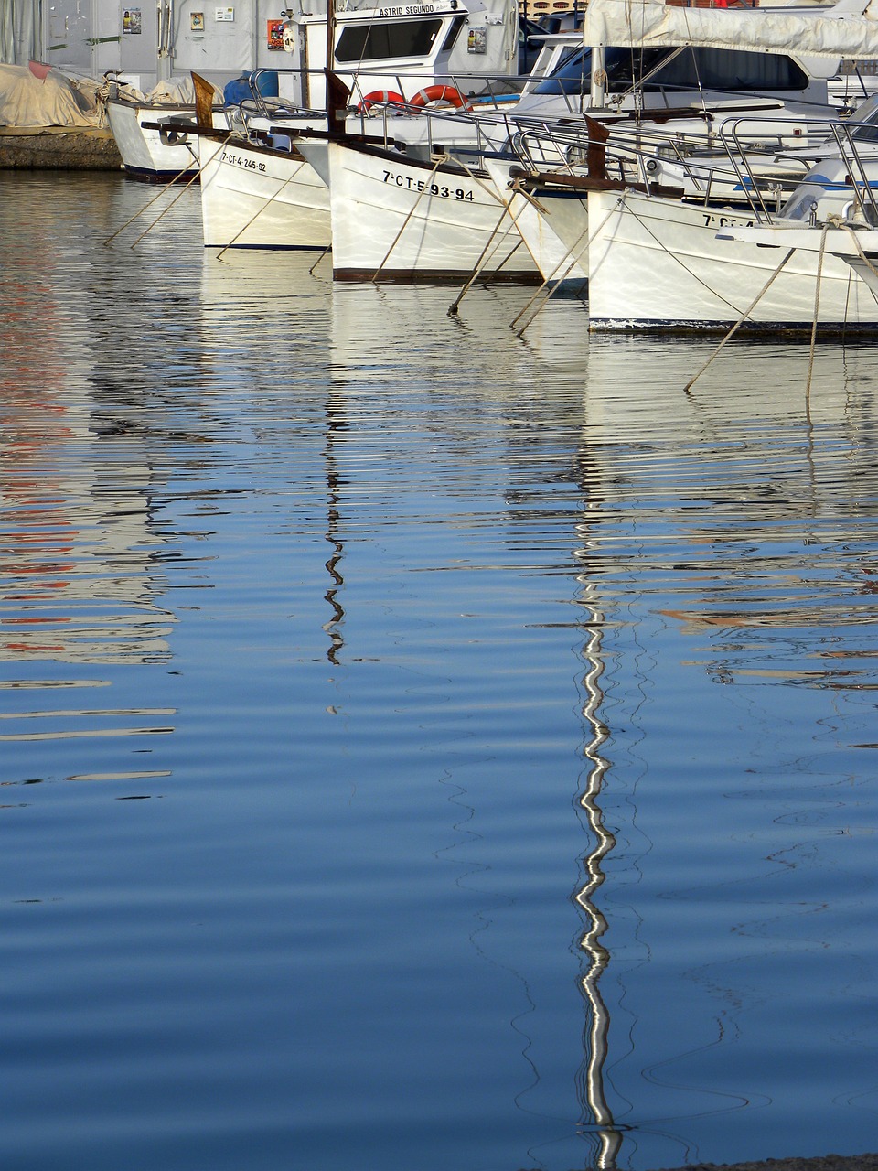 sea water boats free photo