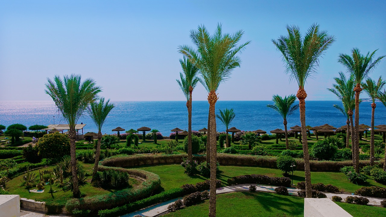 sea egypt palm trees free photo