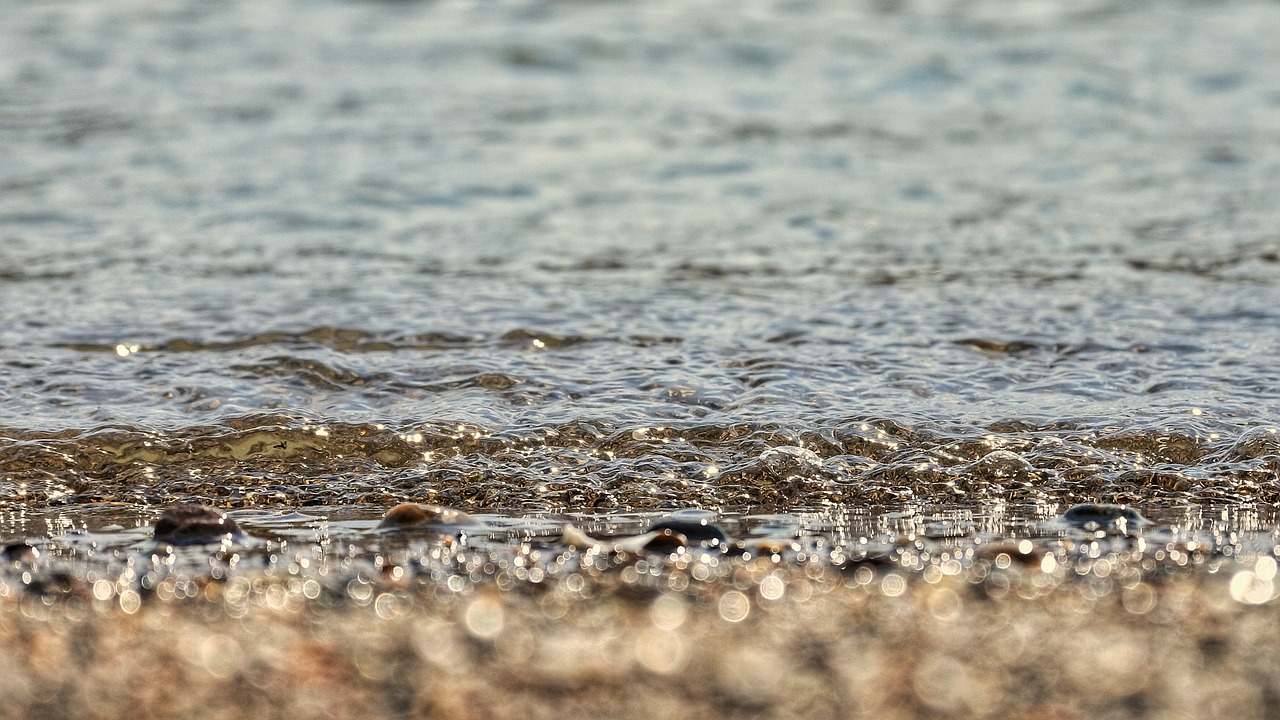 sea beach wave free photo