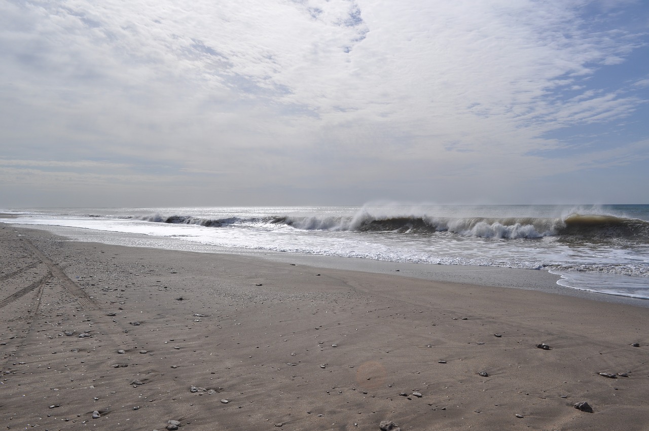 sea waves beach free photo