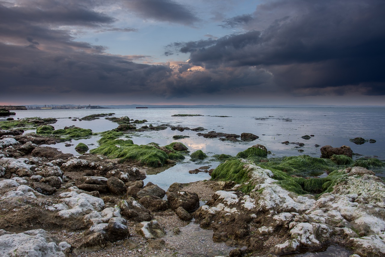 sea stones beach free photo