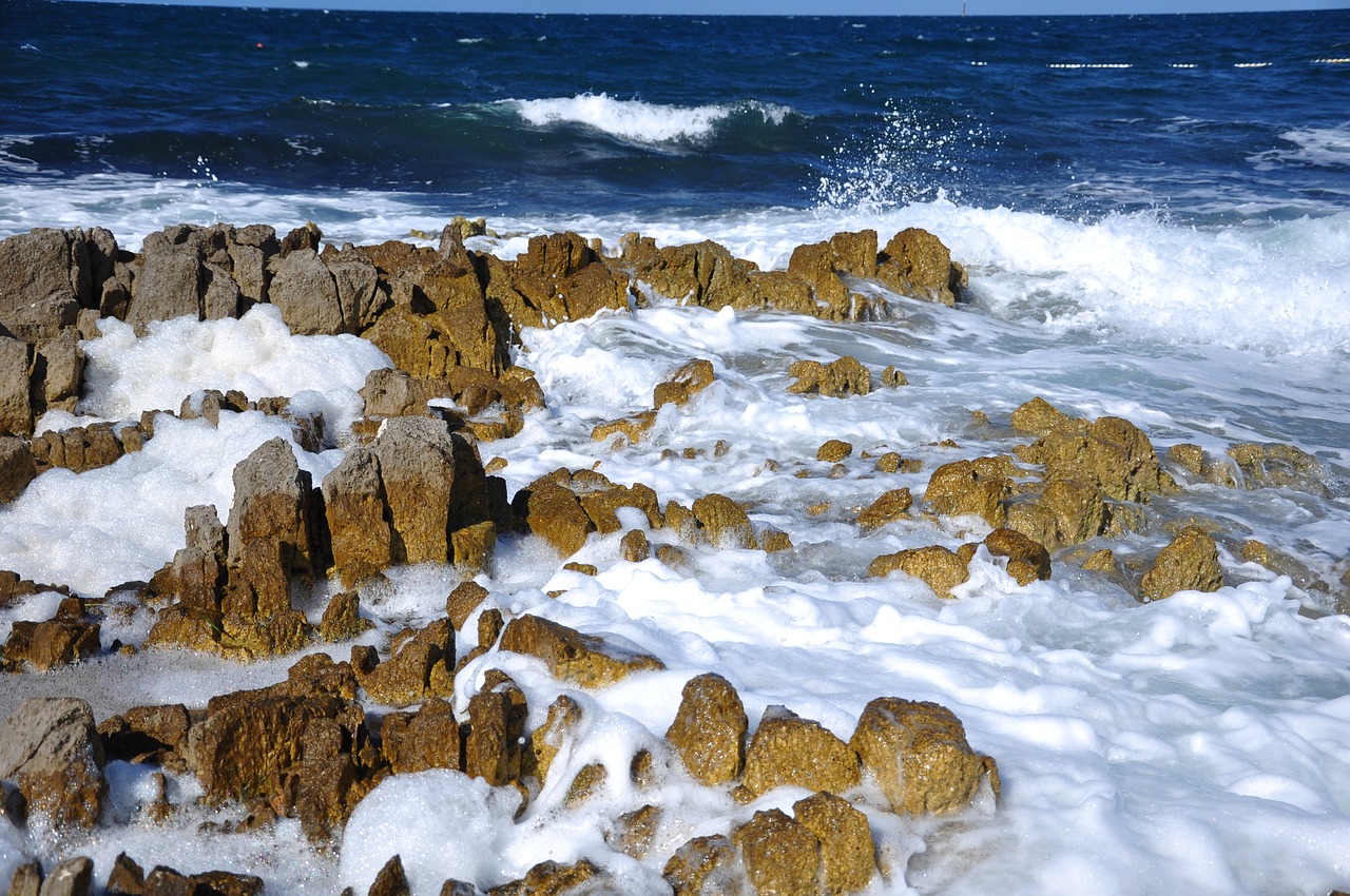 sea foam surf free photo