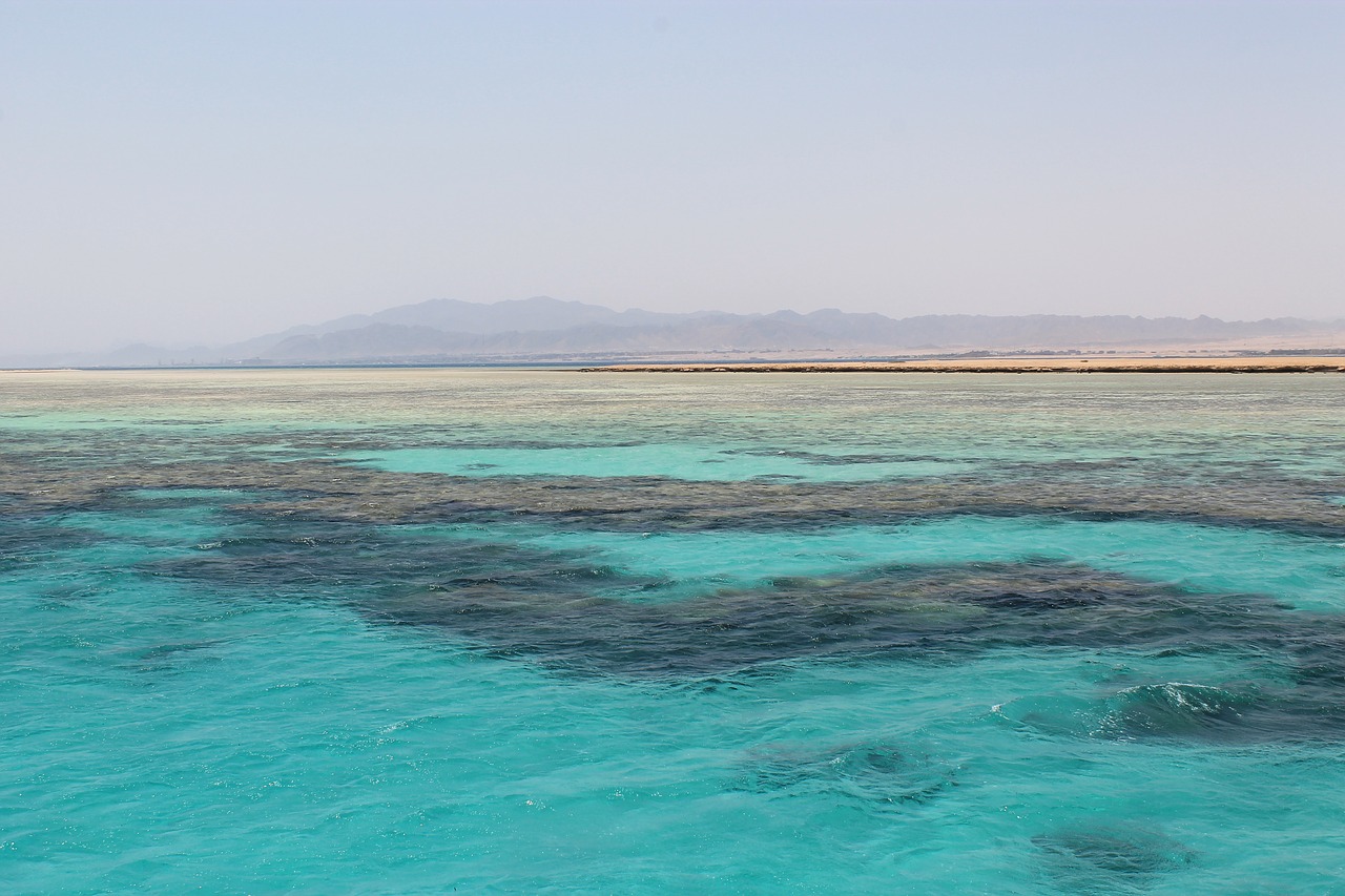 sea red sea egypt free photo