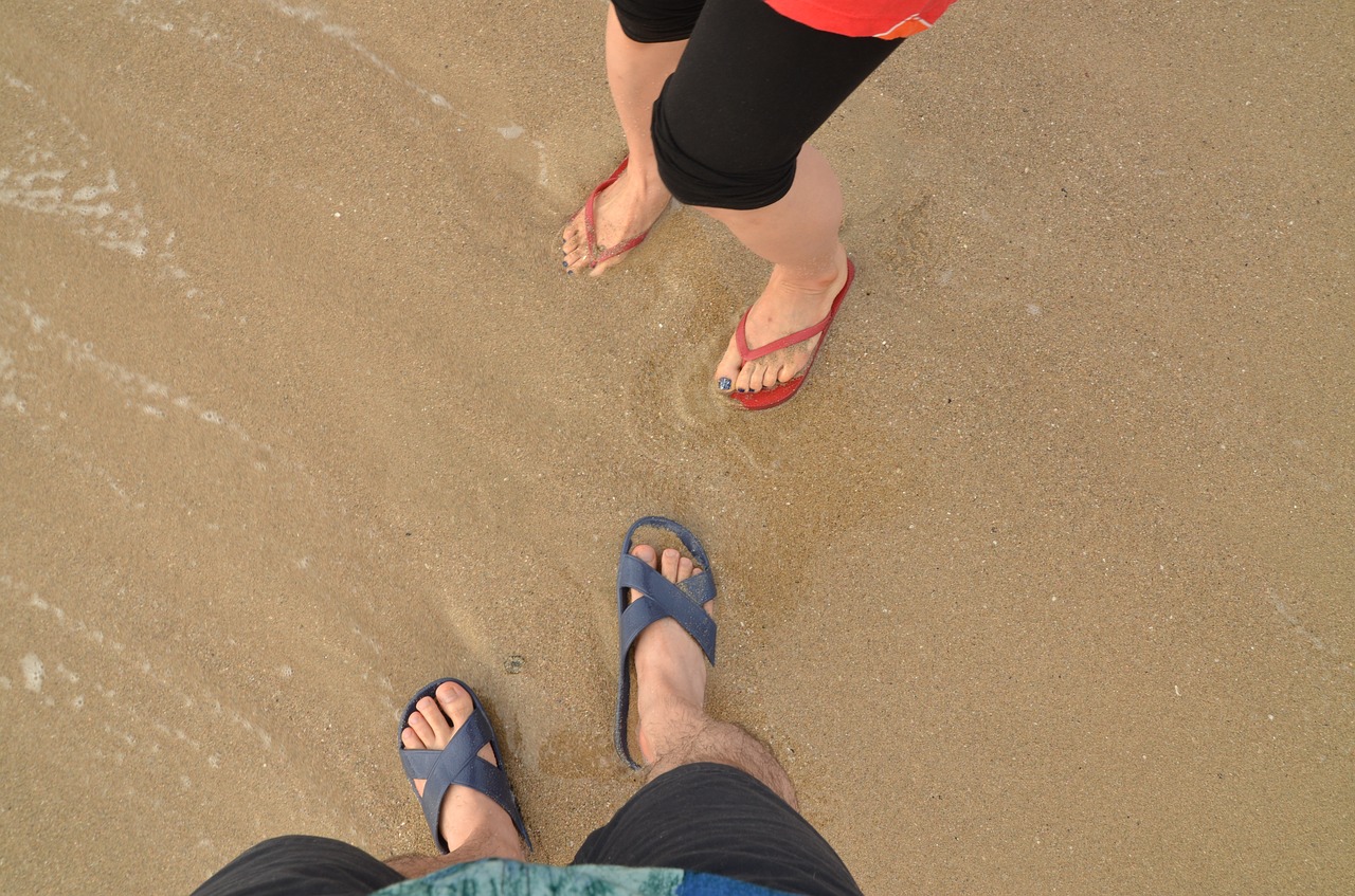 sea song bathing beach free photo