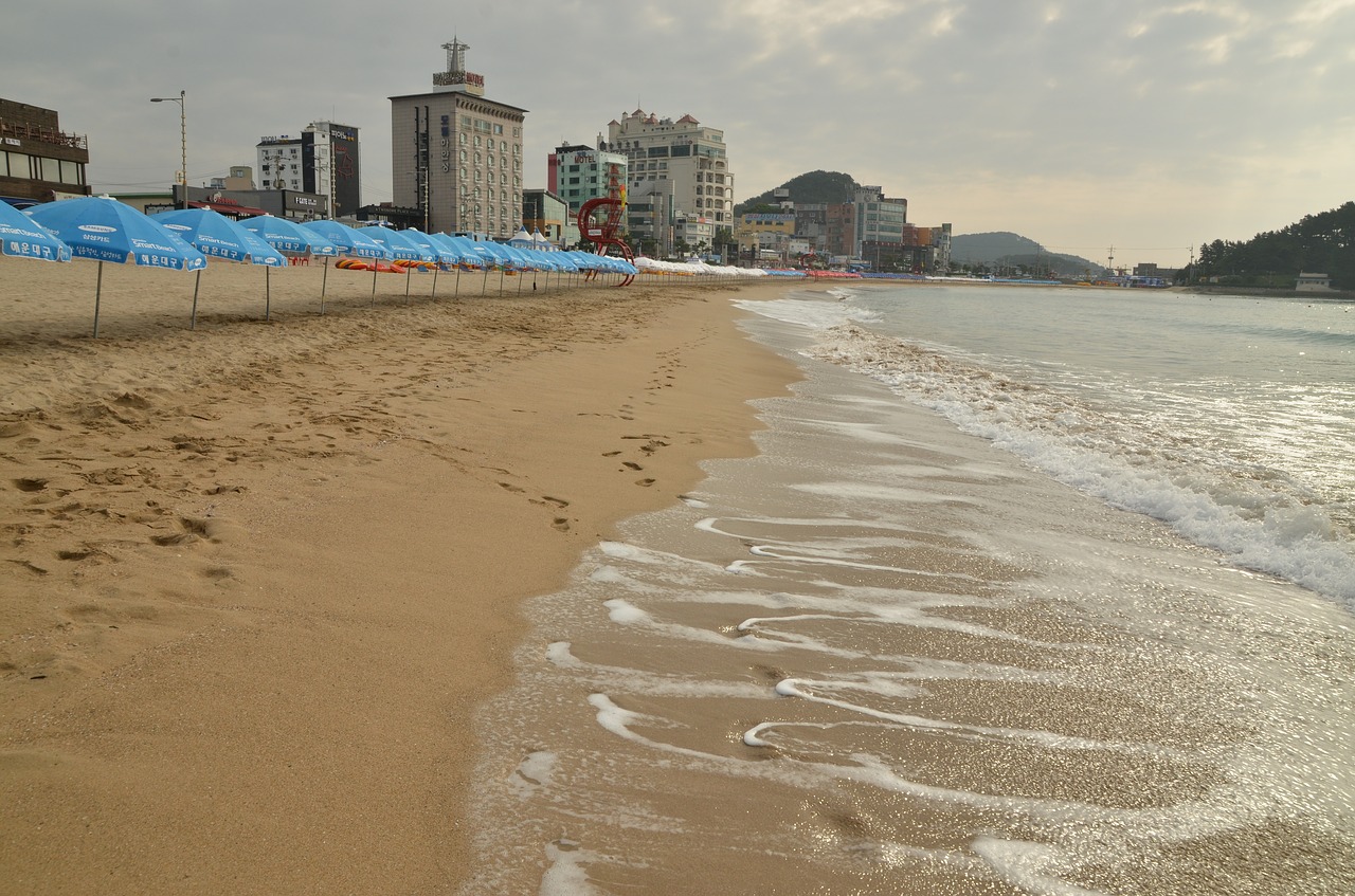 sea beach summer free photo