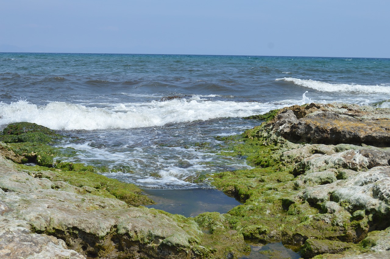 sea beach rocks free photo