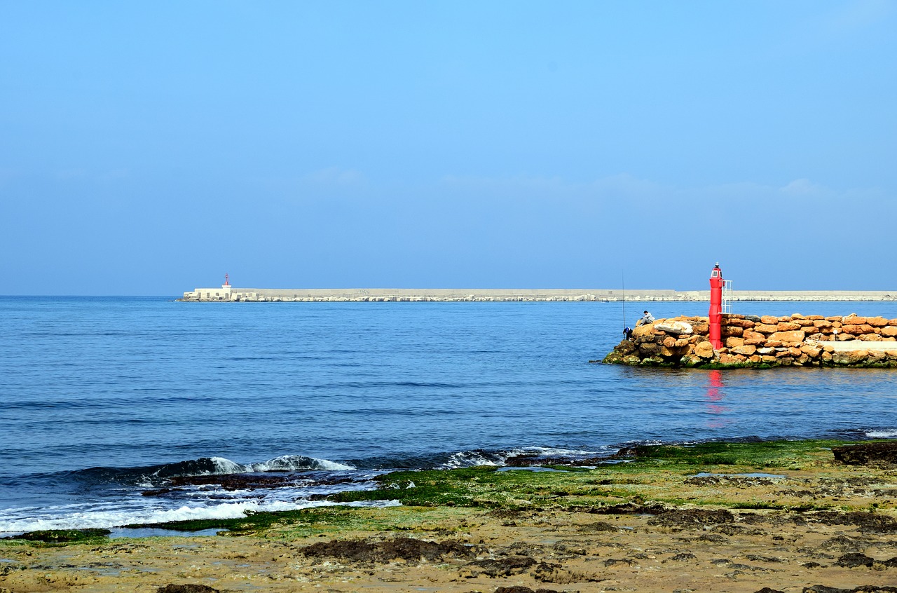 sea coast rocky coast free photo