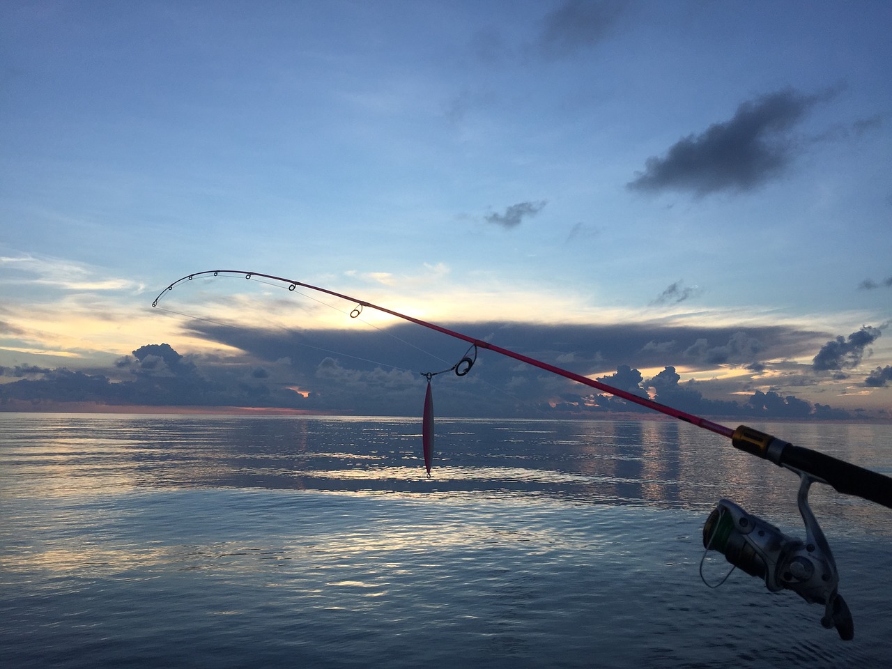 sea sea fishing fish free photo