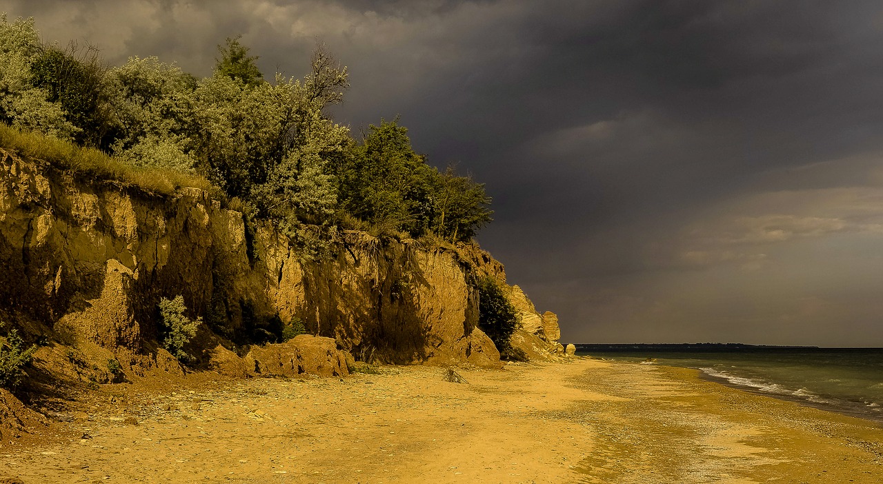 sea beach trees free photo