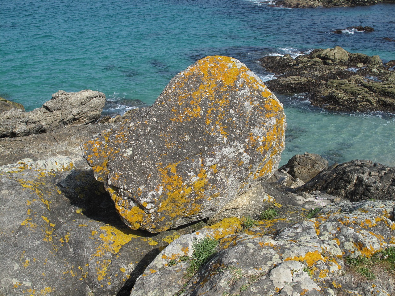 sea rocks lichen free photo