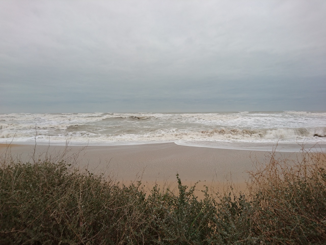 sea beach sky free photo