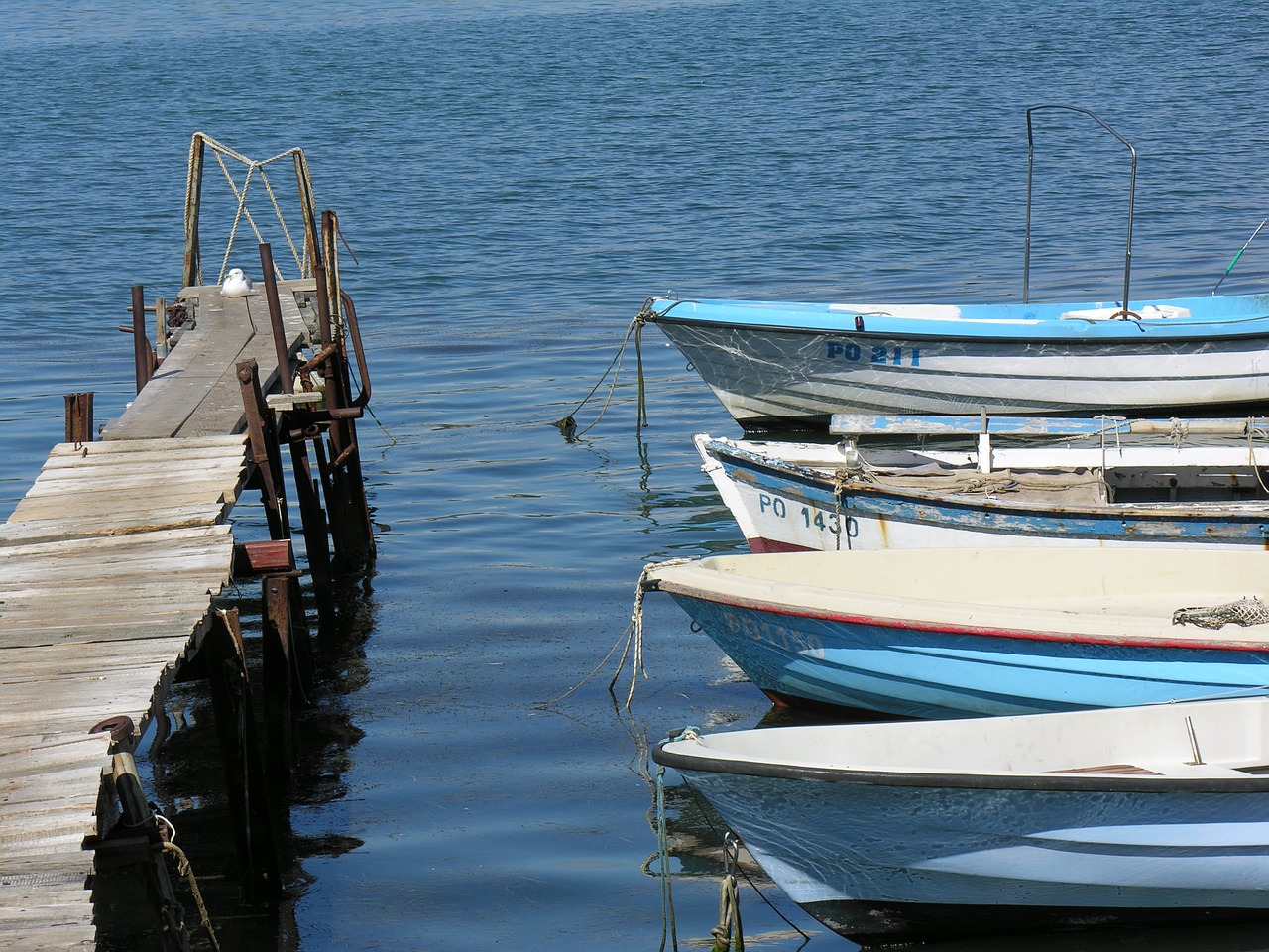 sea boat fishing free photo