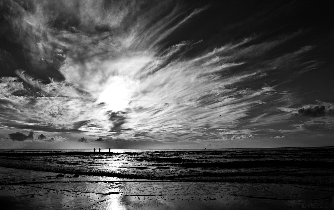 sea black white free photo