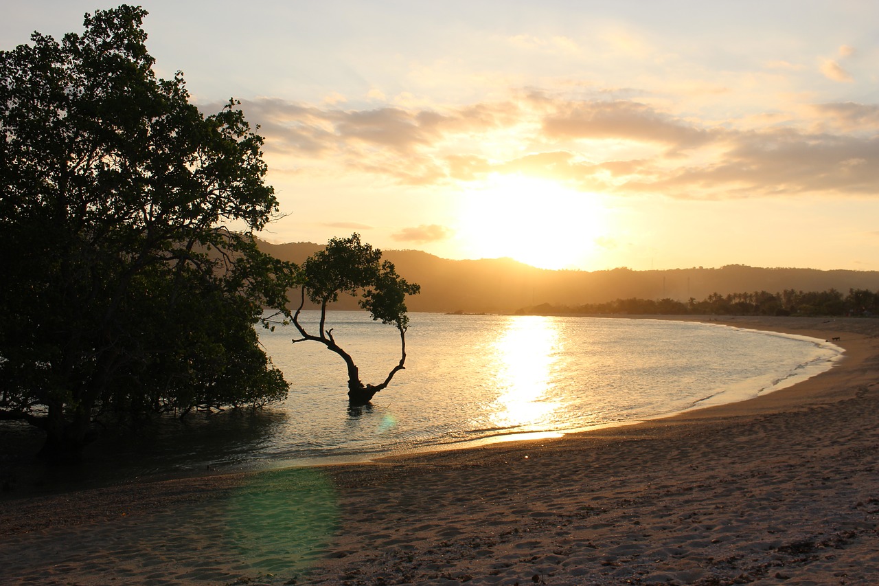 sea landscape travel free photo