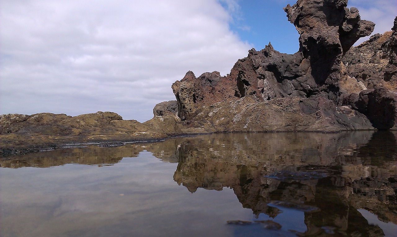 sea nature the pond free photo