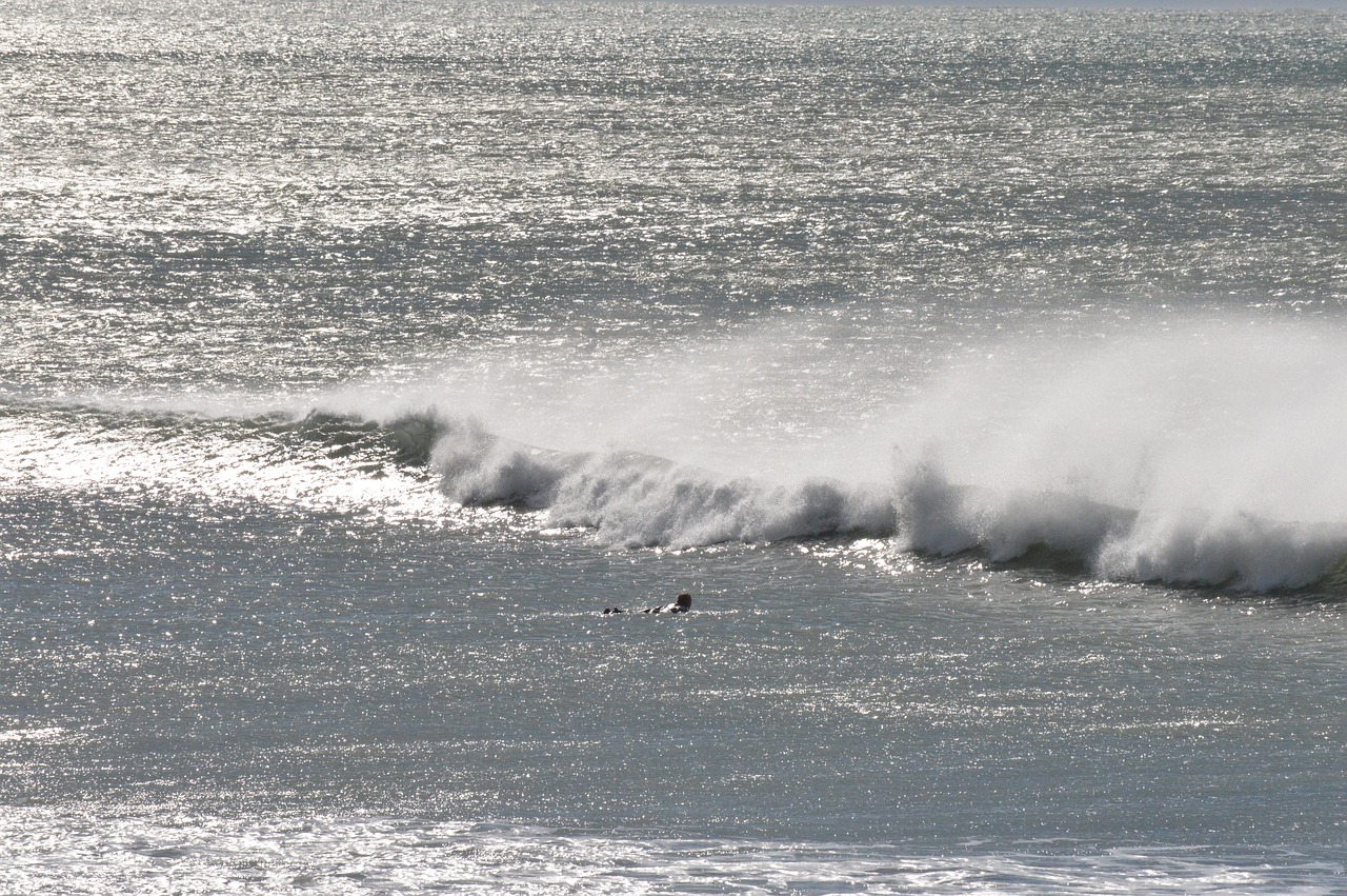 sea wave surfing free photo