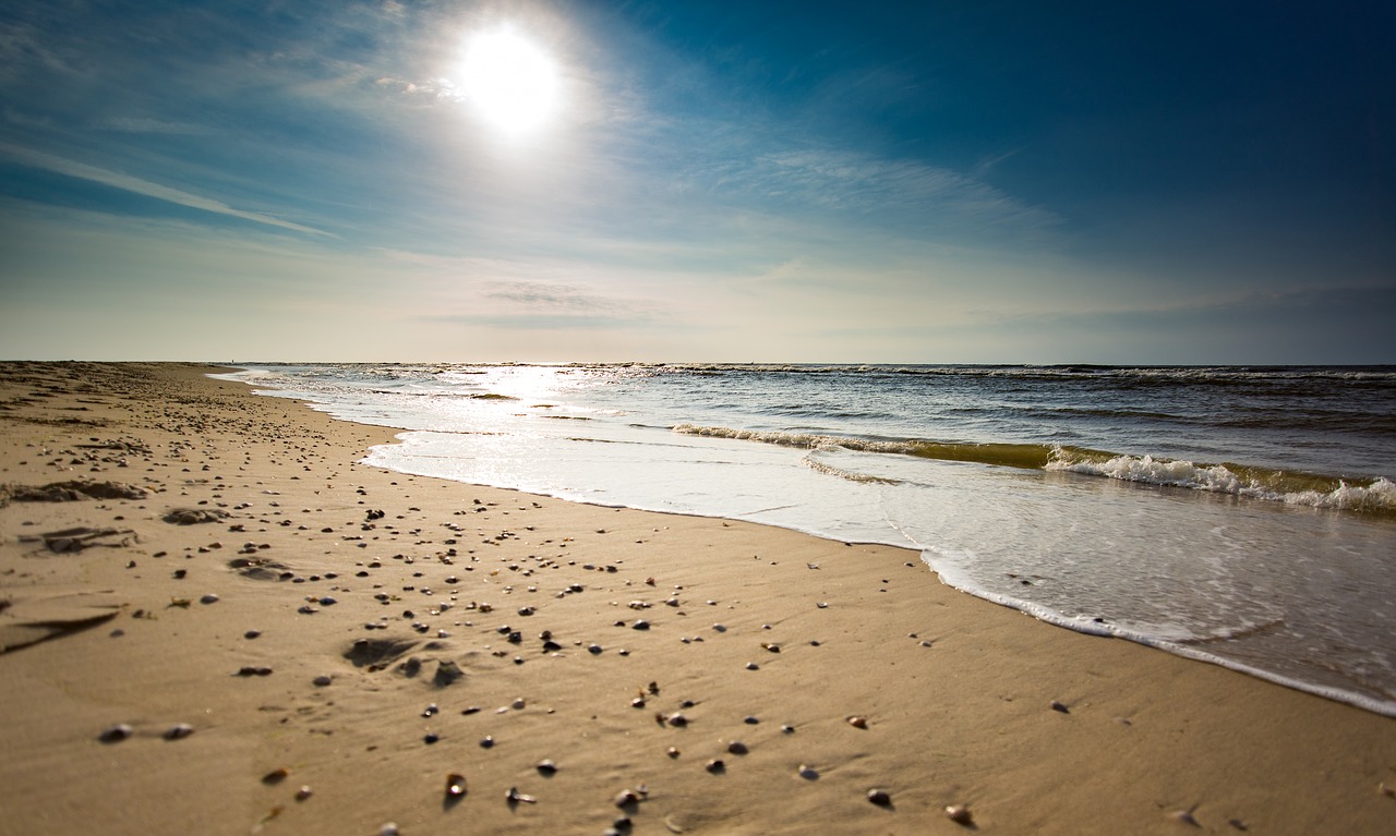 sea beach sun free photo