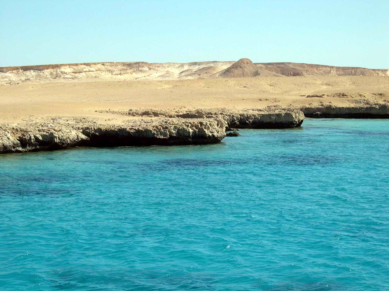 sea reefs egypt free photo