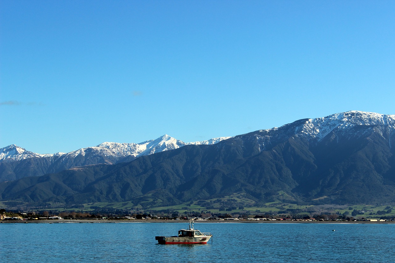 sea mountains new zealand free photo