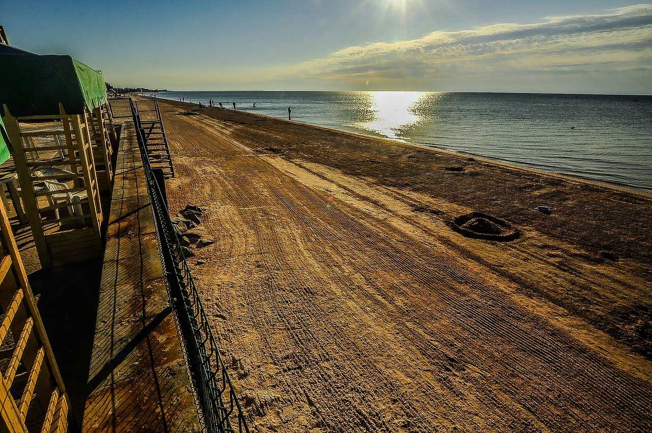 sea beach morning free photo