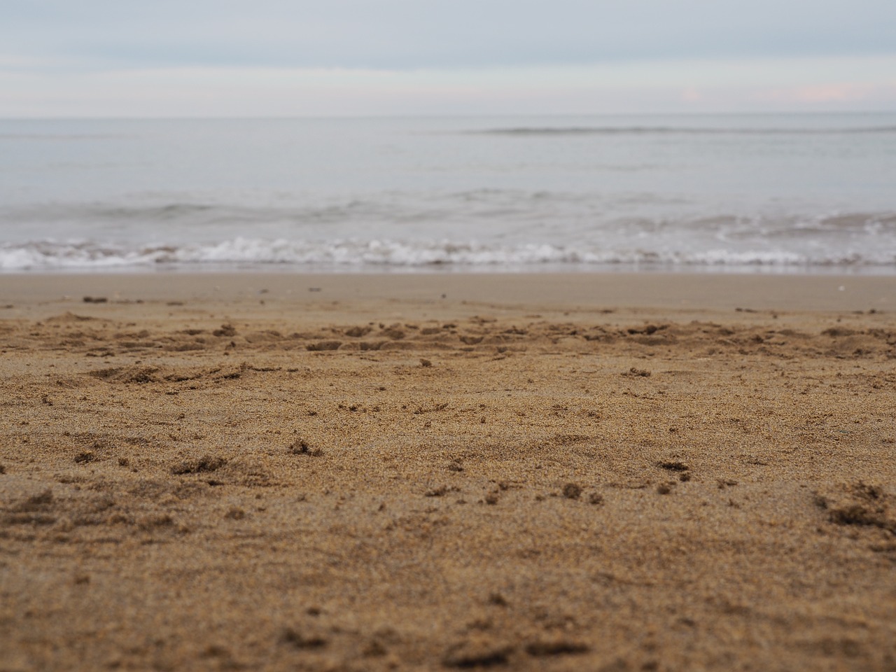 sea sand beach free photo