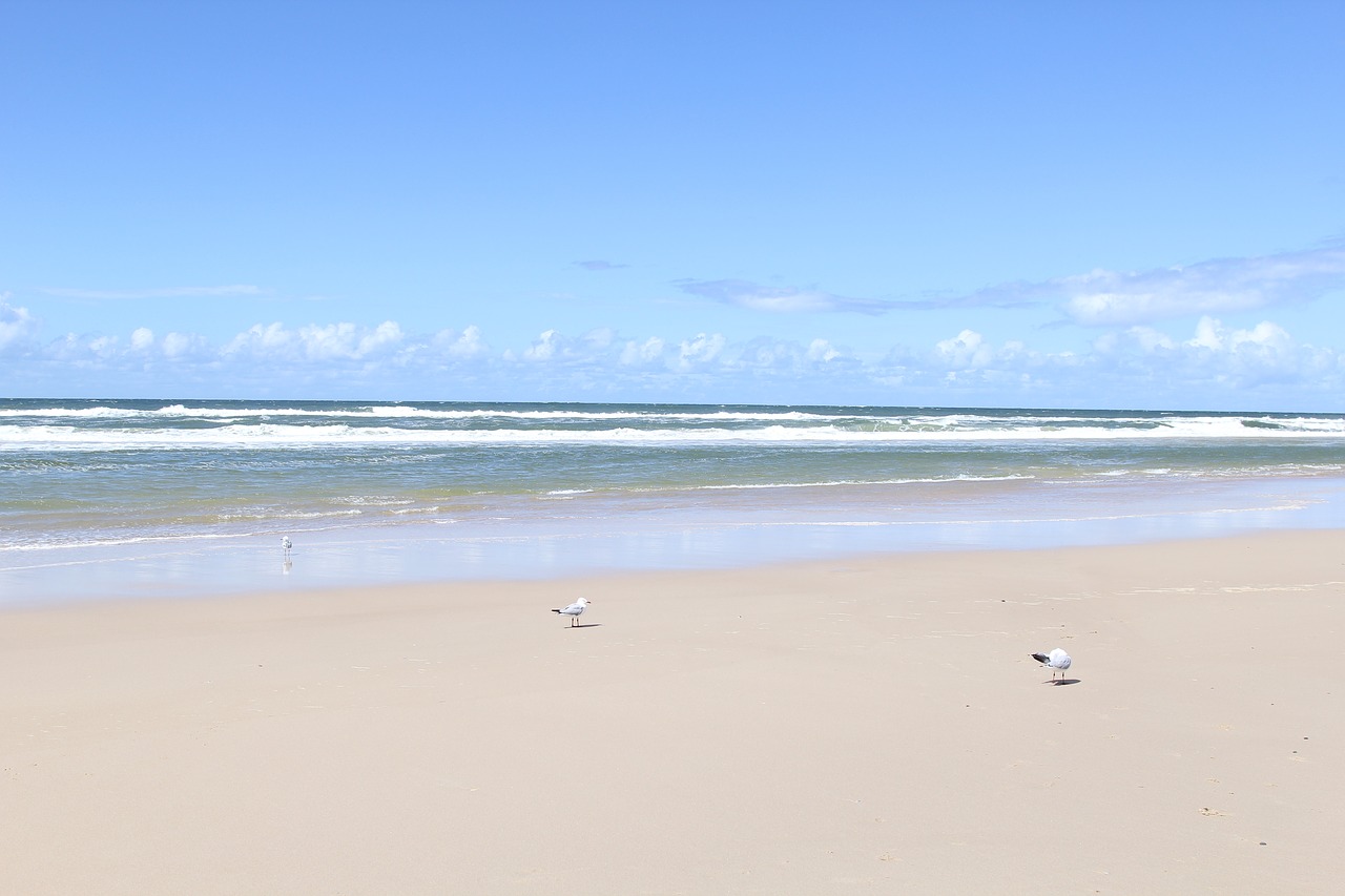 sea pacific ocean gold coast free photo