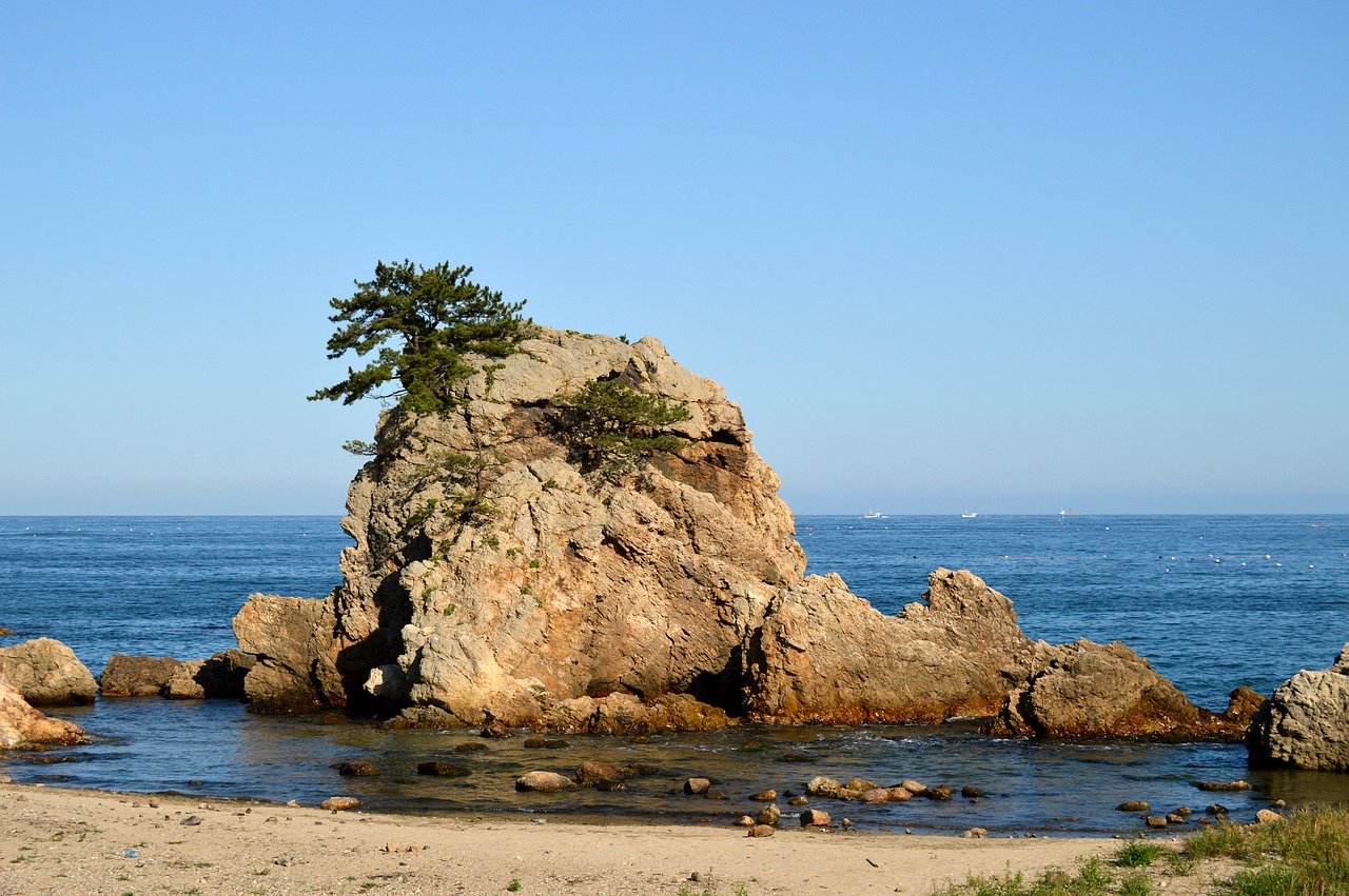 sea sol island pine free photo