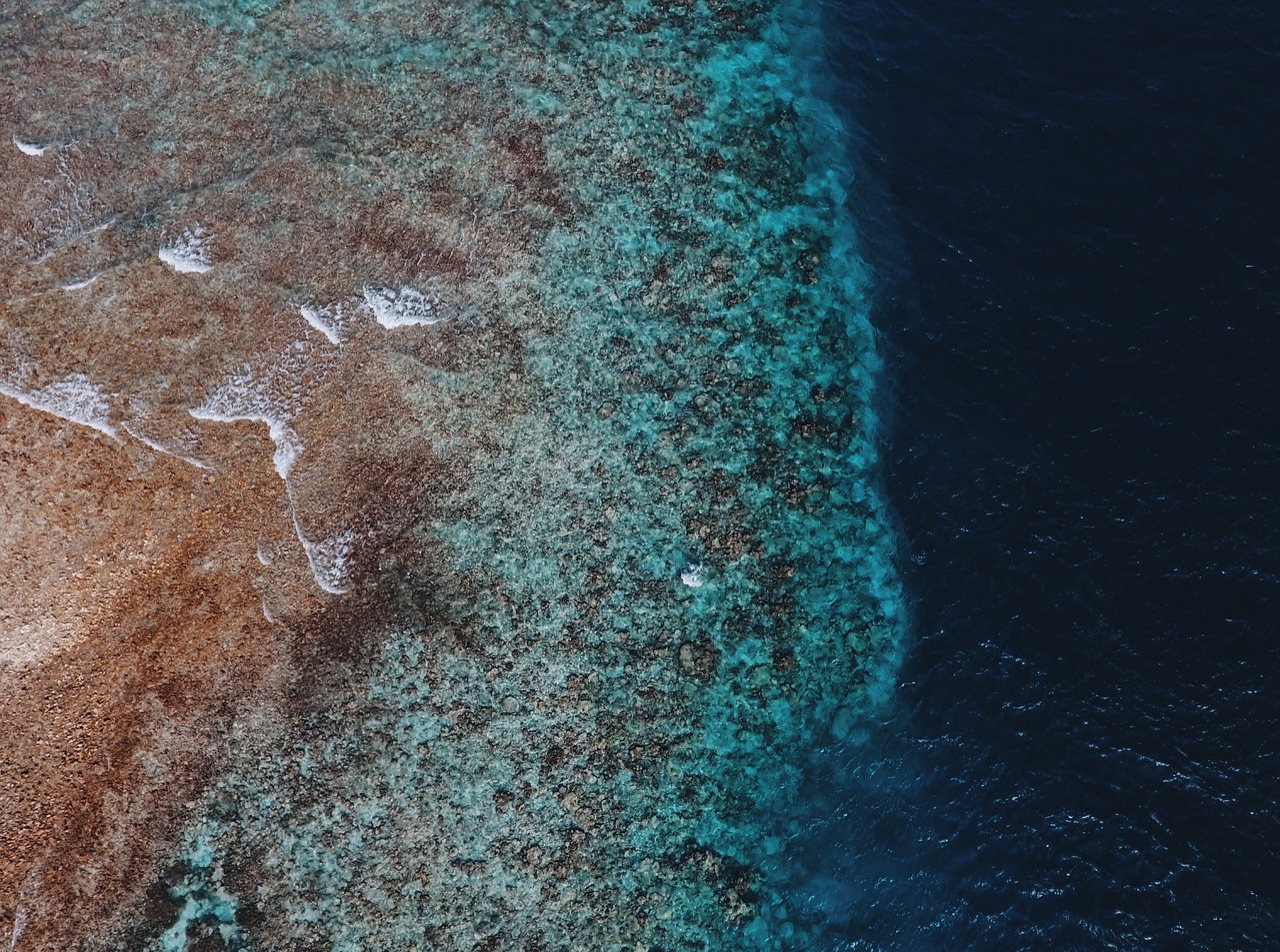 sea ocean blue free photo