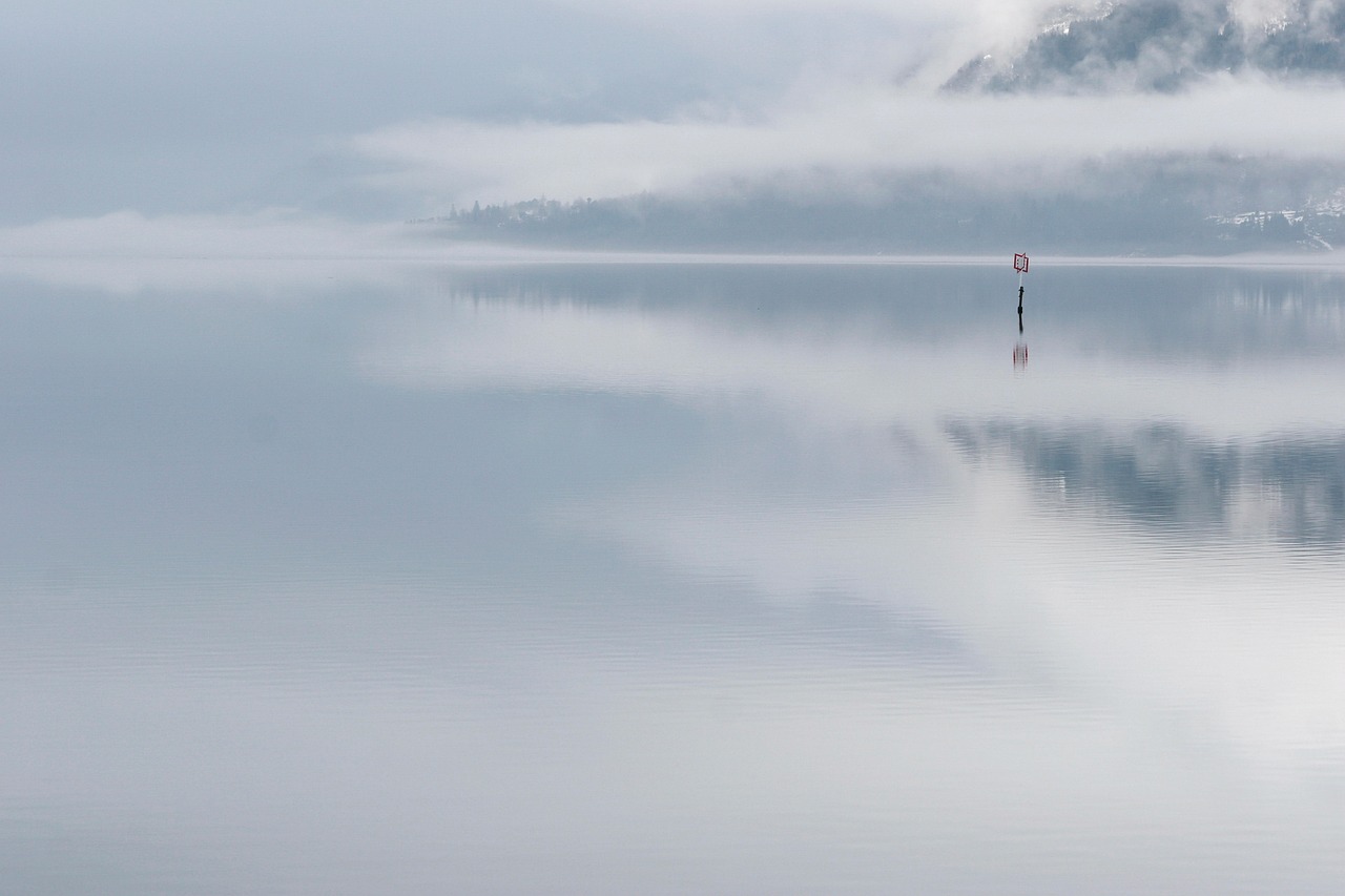 sea fog pond free photo