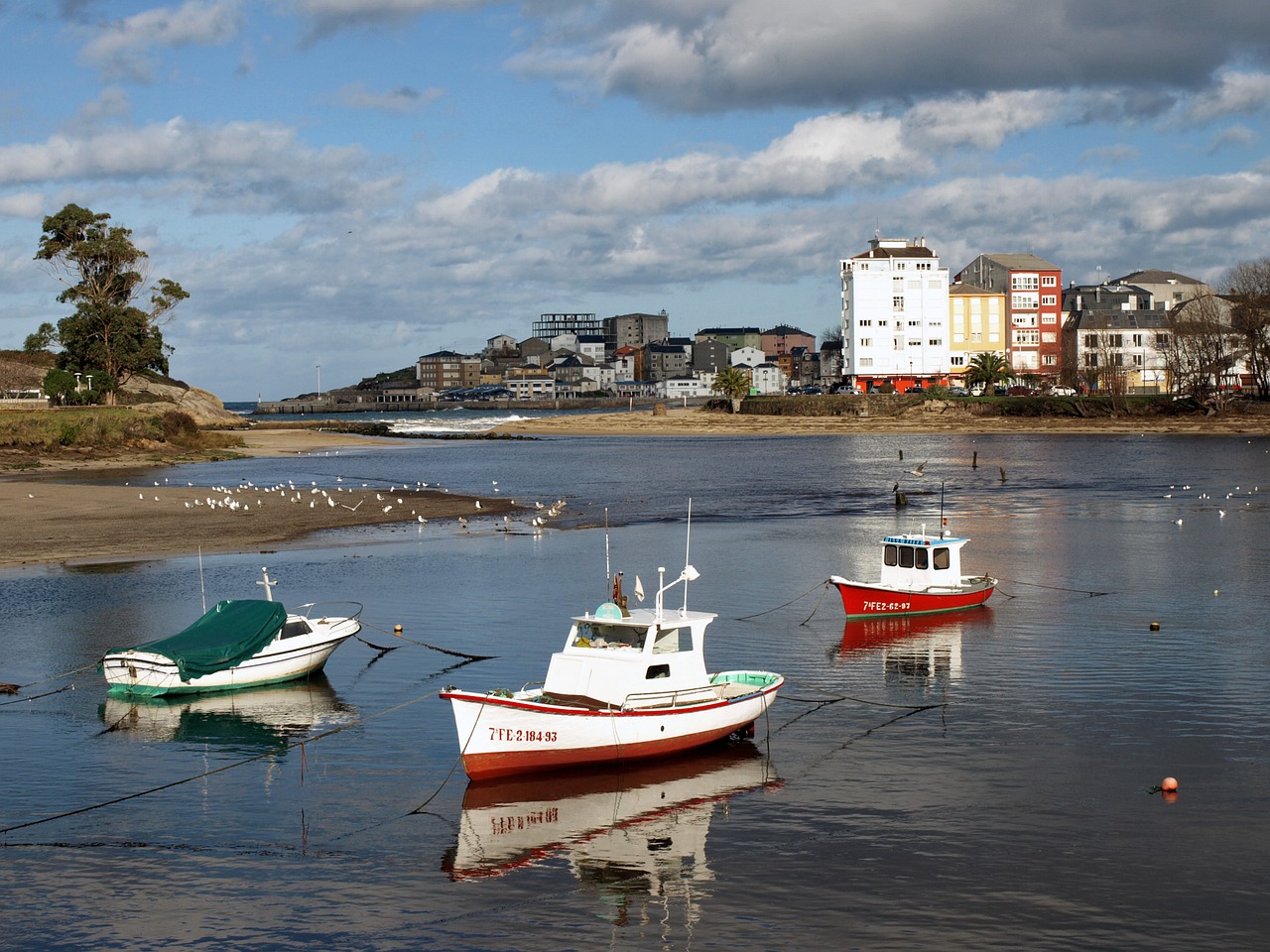 sea boats sky free photo