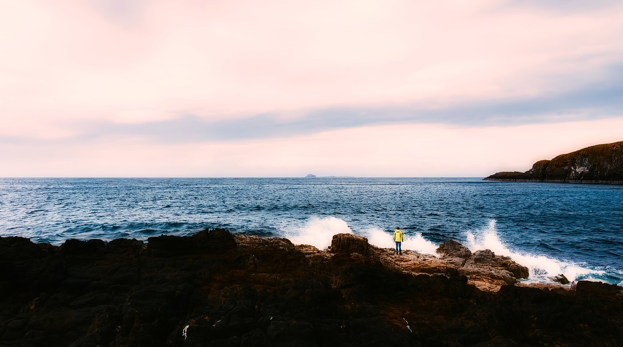 sea ocean panorama free photo