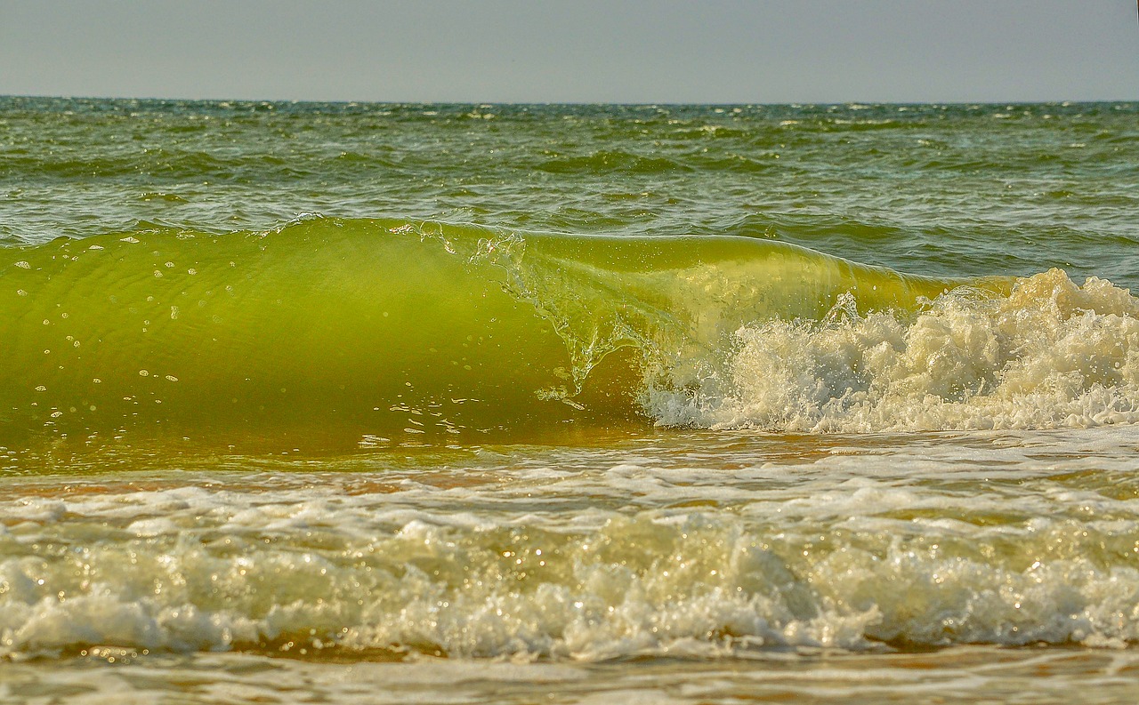 sea wave foam free photo