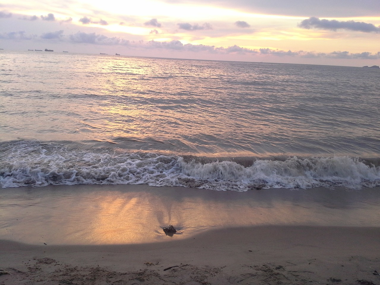 sea beach waves free photo