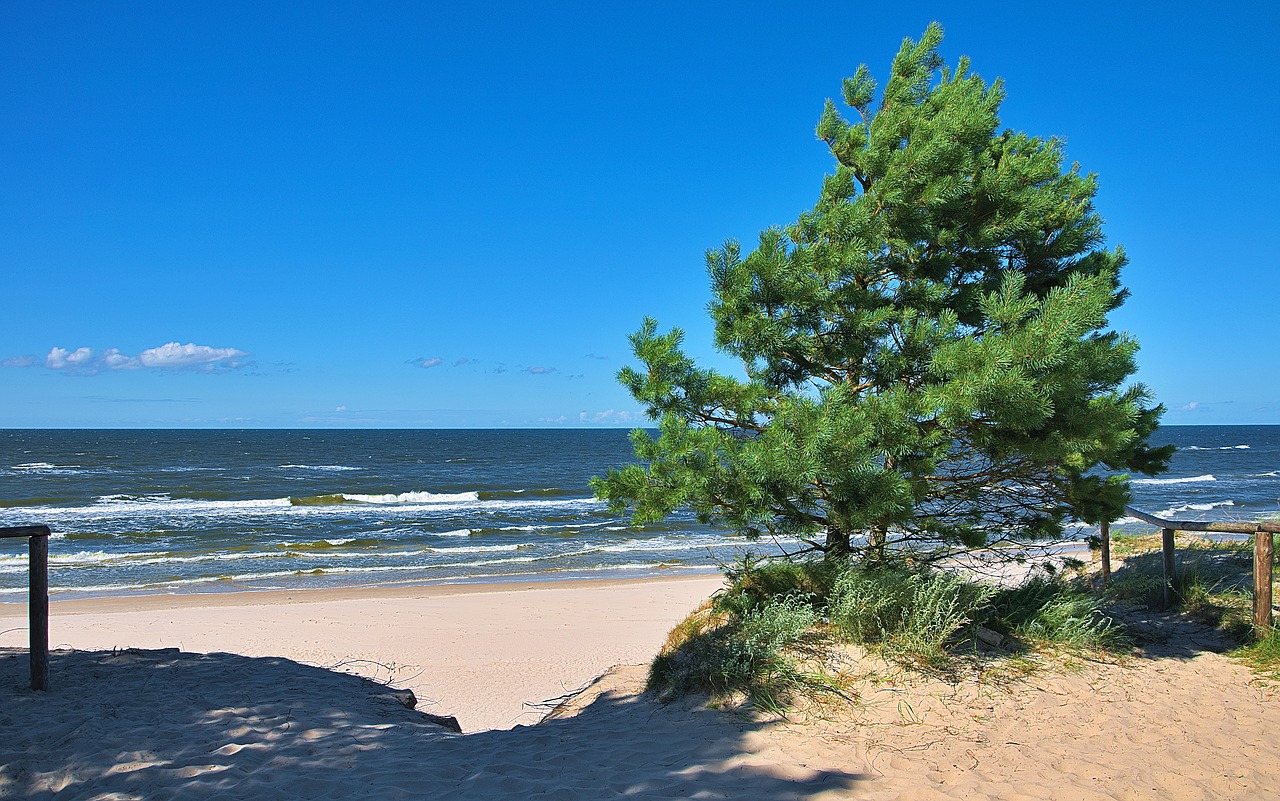 sea landscape beach free photo