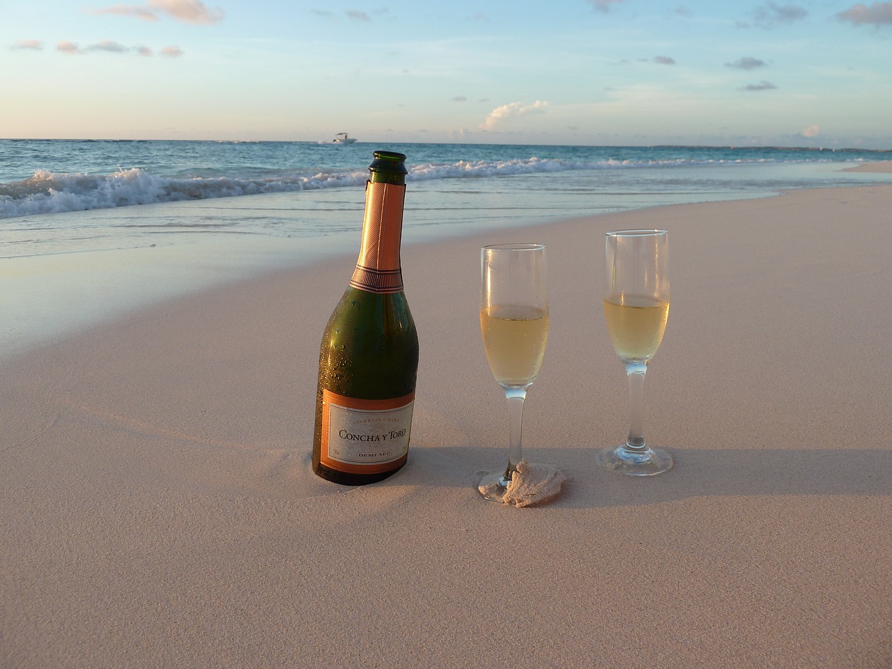sea champagne aruba free photo