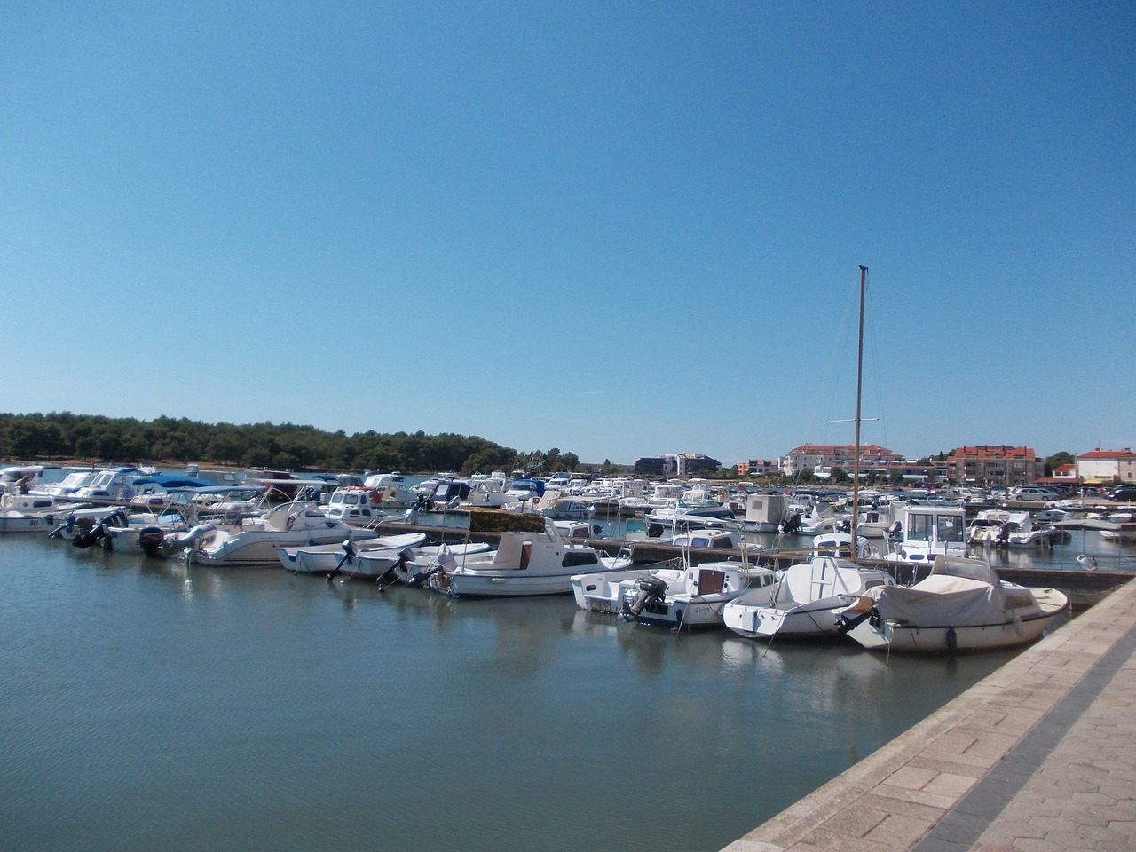 sea boats port free photo