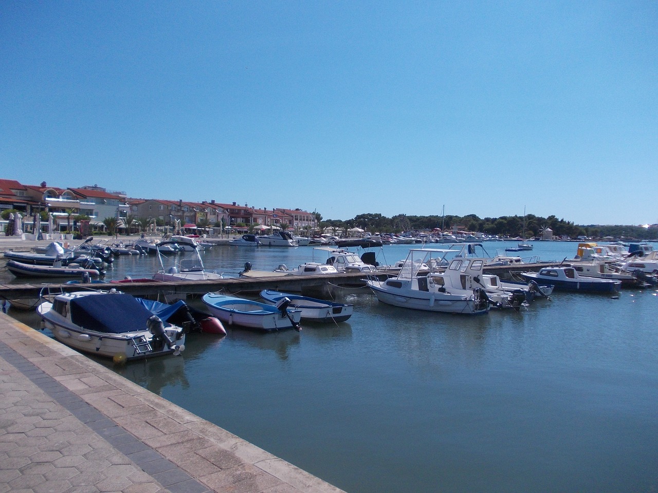 sea boats port free photo