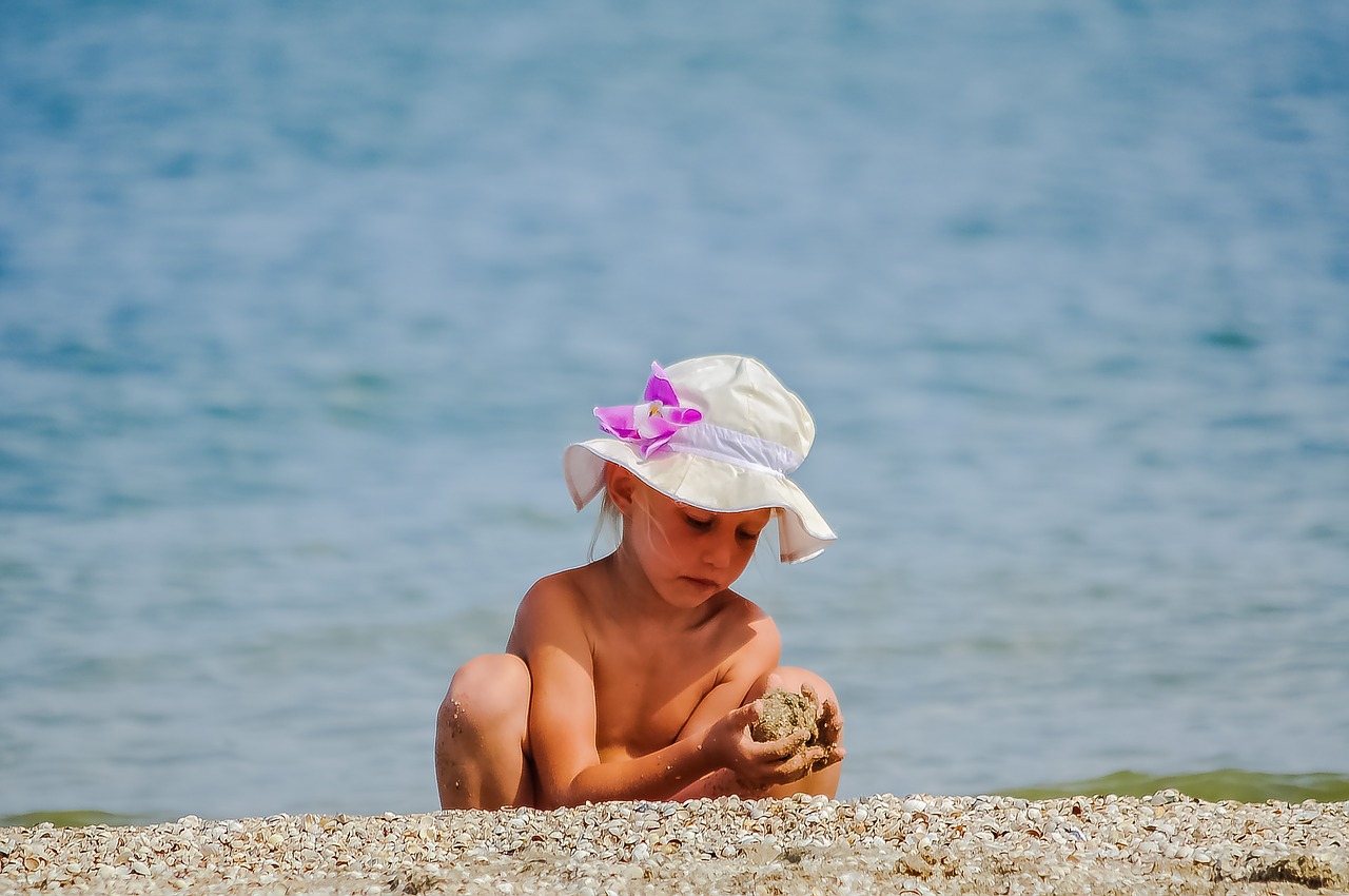 sea sand shell free photo