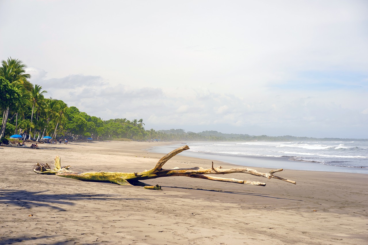 sea beach ocean free photo