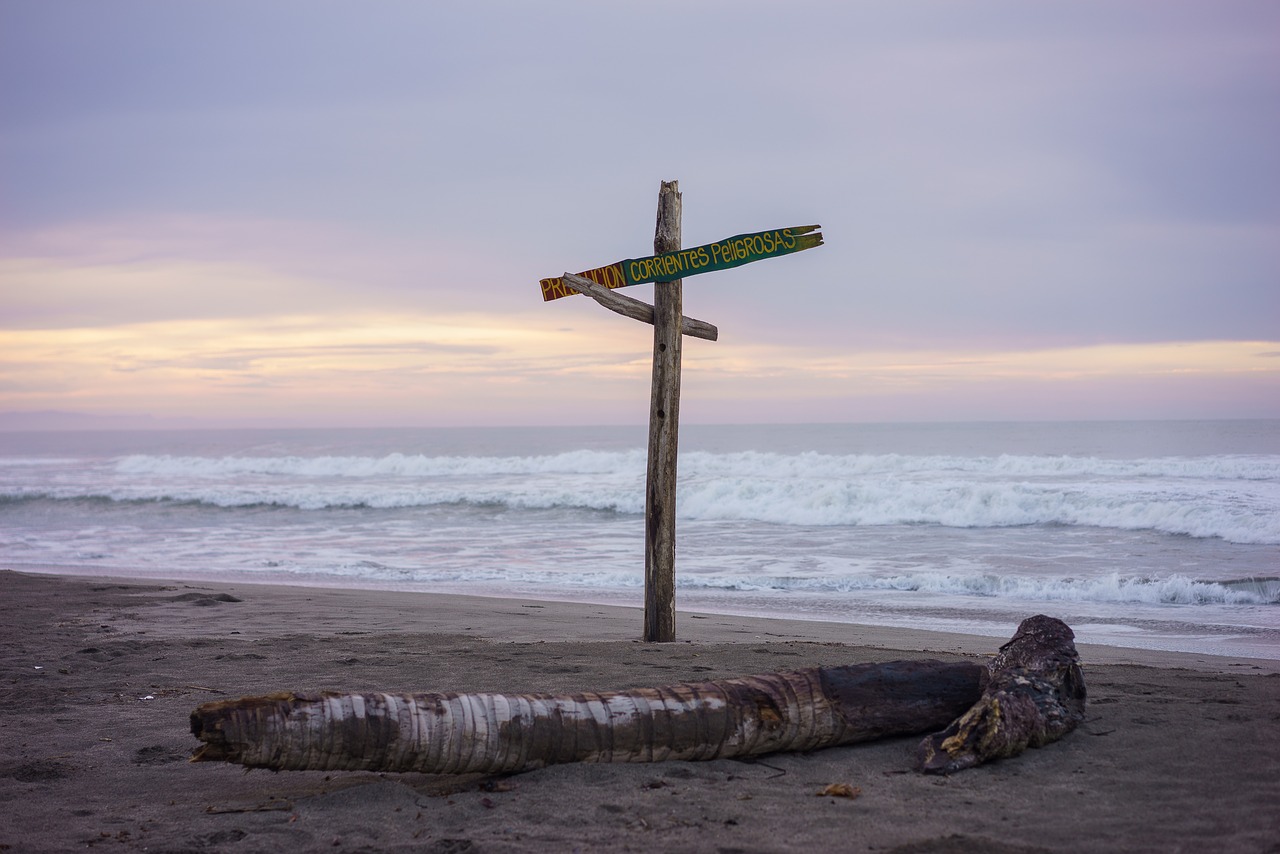 sea beach ocean free photo