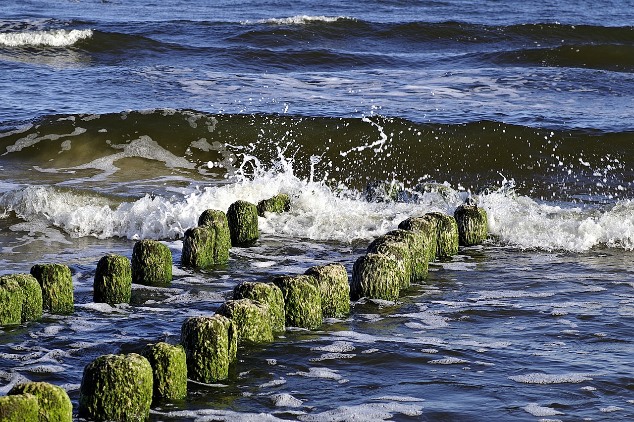 sea the waves breakwater free photo