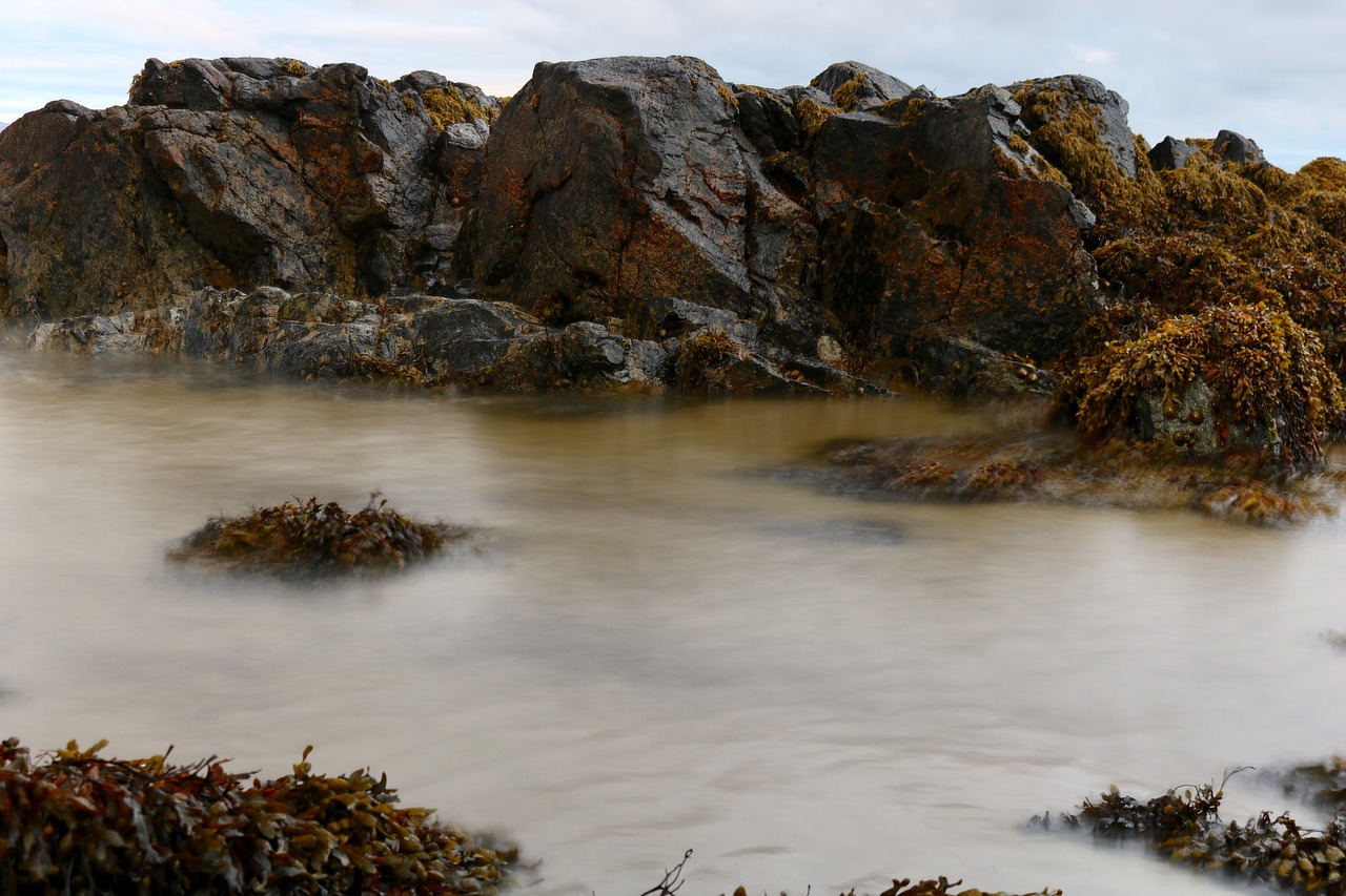 sea ireland stones free photo